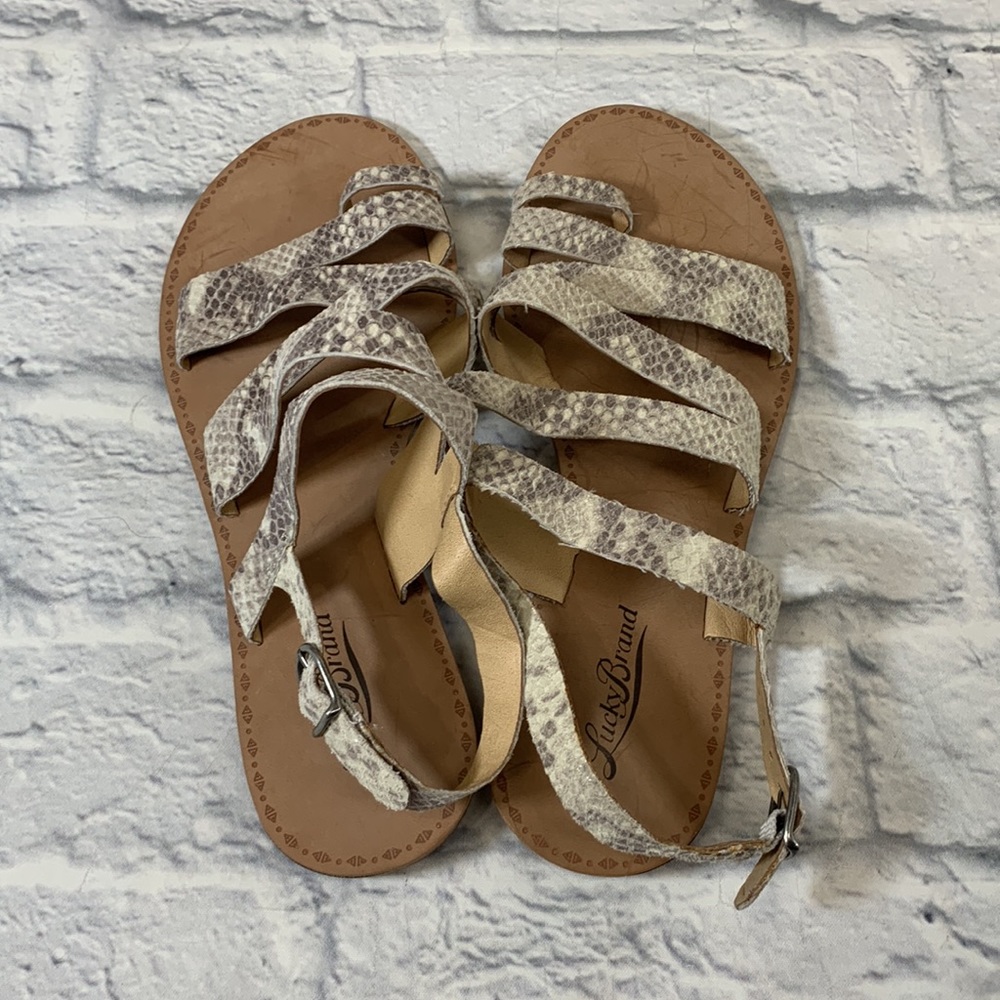 Lucky Brand LEATHER Strappy Snakeprint sandals 7.5 Open toe New - Picture 3 of 12